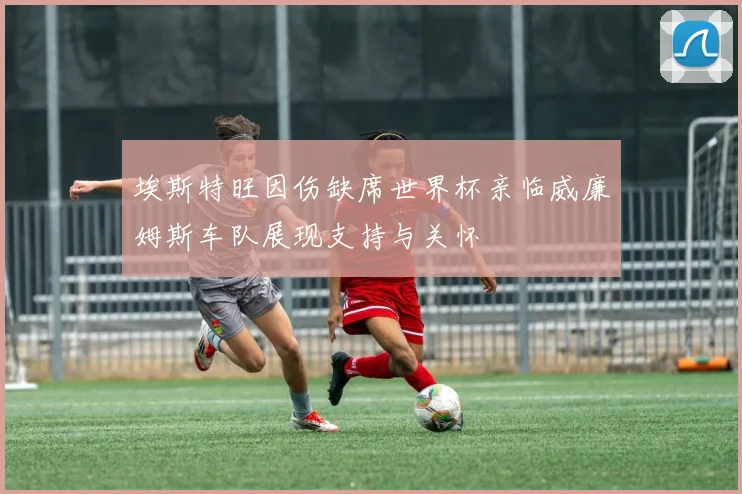 埃斯特旺因伤缺席世界杯亲临威廉姆斯车队展现支持与关怀