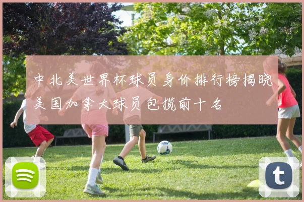 中北美世界杯球员身价排行榜揭晓美国加拿大球员包揽前十名